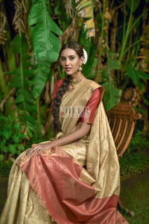 Buy Designer Sarees, Salwar Kameez, Kurtis & Tunic and Lehenga  Choli.Alluring Beige Silk Saree