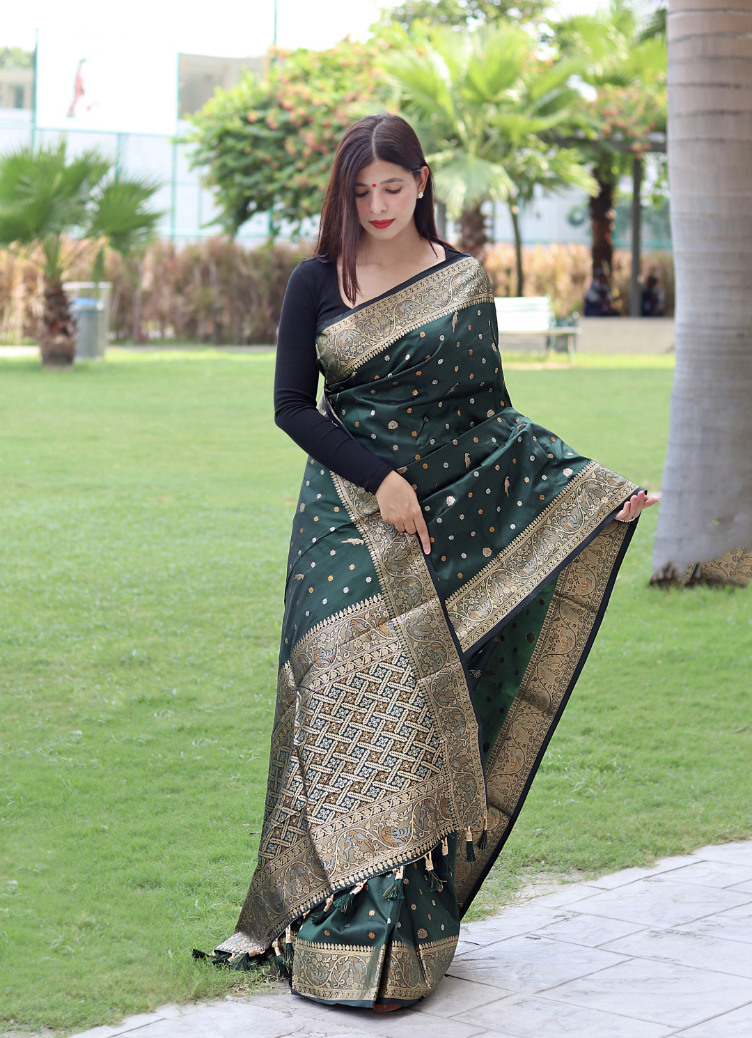 Light Green & Black Combination Pure Soft Semi Silk Saree With Attractive  Blouse Piece at Rs 1499.00 | Soft Silk Saree | ID: 2851295524588