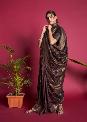 Elegant Chocolate Brown Pure Kanjeevaram Silk Saree with Skirt Border