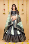 Black and pista green color fancy chinnon lehenga with zarkan work