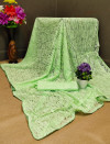 Pista green color raffal jacquard weaving sareee